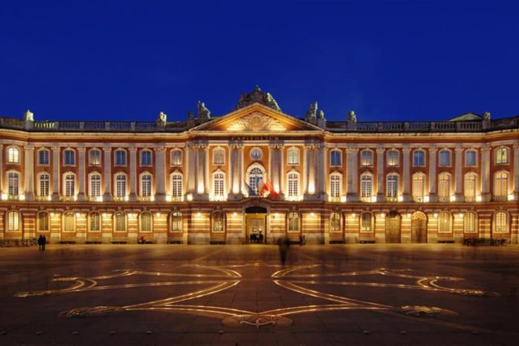 Au Gout Du Jour T2 Climatise Toulouse Exterior foto